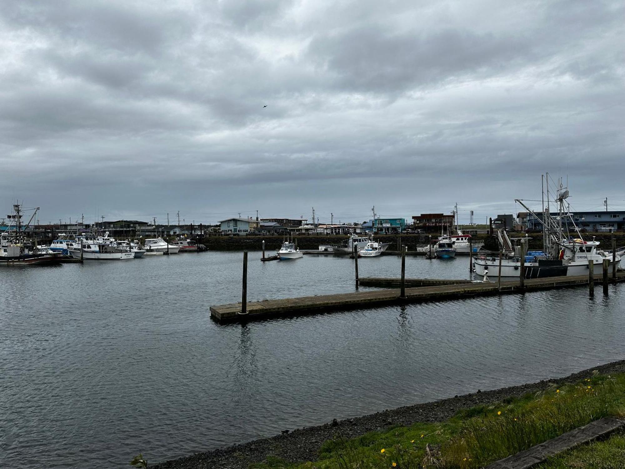 Westport Marina Cottages Bagian luar foto