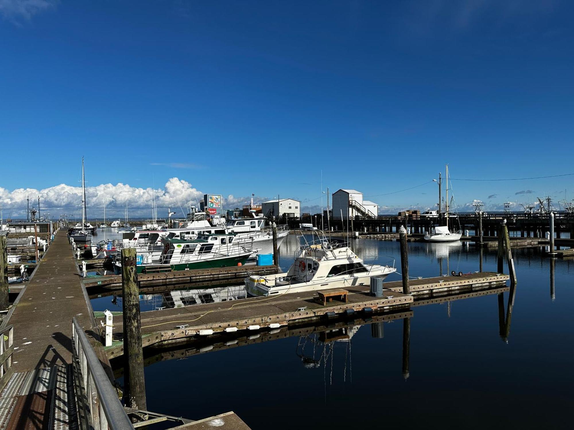 Westport Marina Cottages Bagian luar foto